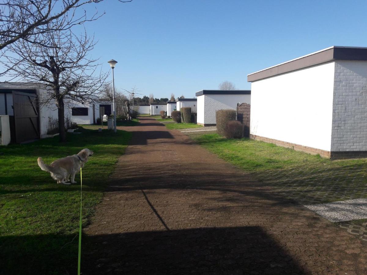 Le Petit Blekker Villa Koksijde Buitenkant foto